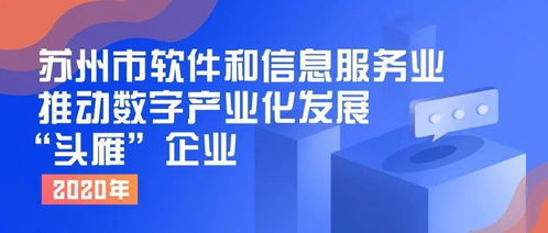 申报2020年苏州市软件和信息服务业推动数字产业化发展“头雁”企业——网络技术服务