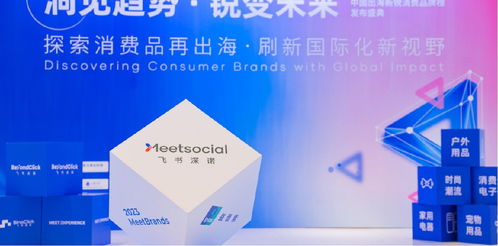 新品类、新渠道、新技术 飞书深诺沈晨岗谈出海品牌如何借数字技术服务开启新故事